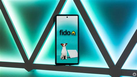 current fido plans